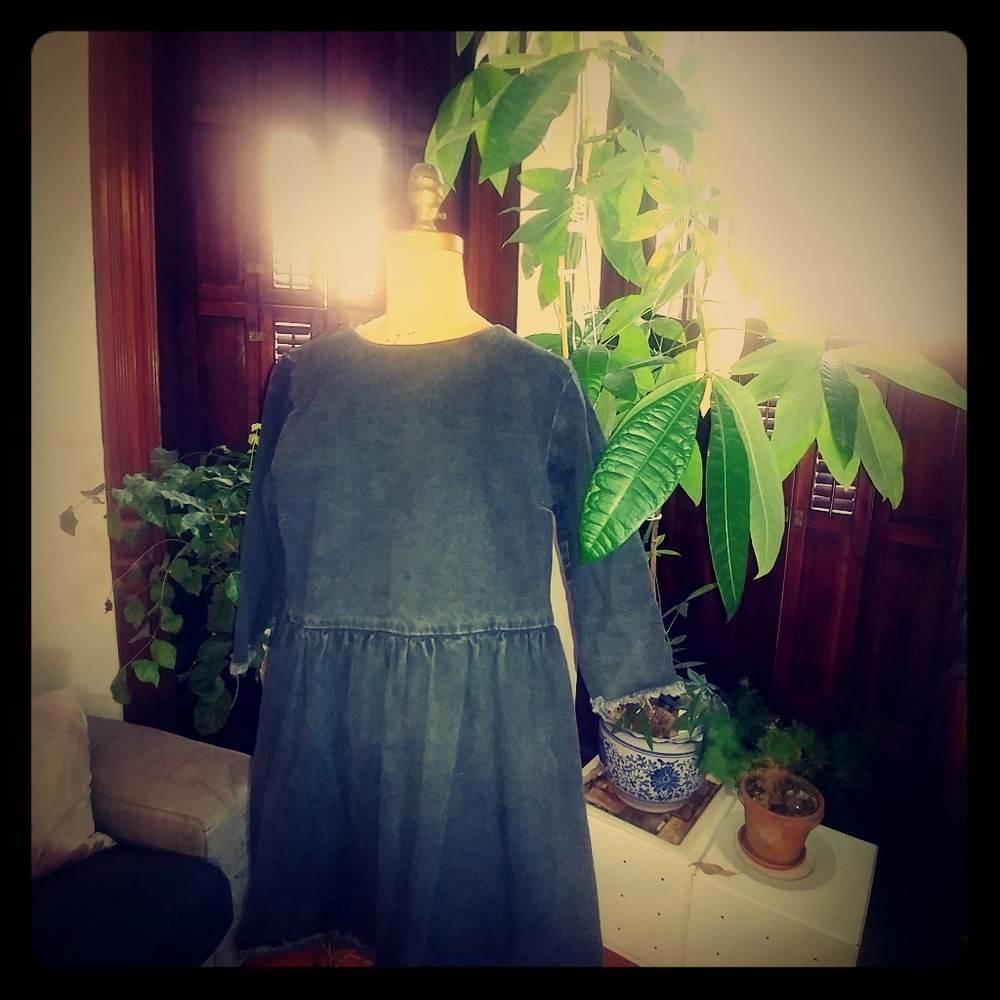 Jean dress